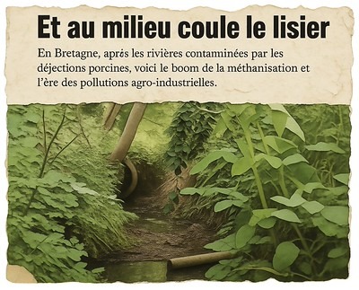 Le titre incitatif