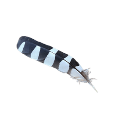 Autres souvenirs de journaleuse